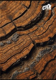 Füzet, tűzött, A4, kockás, 80 lap, COOL BY VICTORIA "Wood & Rock"